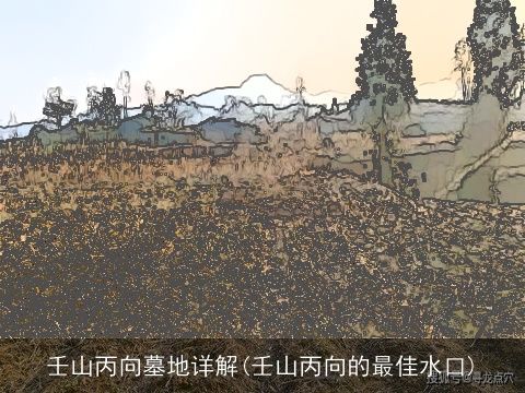 壬山丙向墓地详解(壬山丙向的最佳水口)