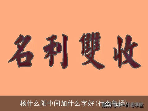 杨什么阳中间加什么字好(什么气扬)