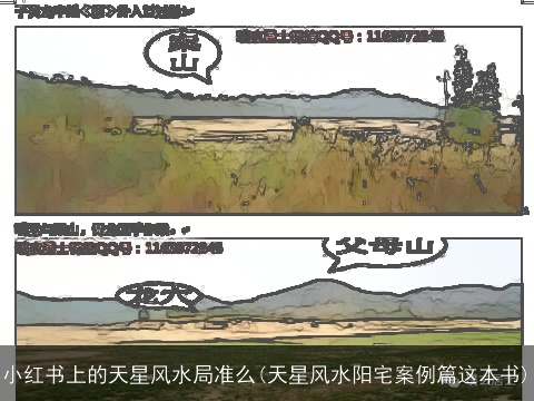 小红书上的天星风水局准么(天星风水阳宅案例篇这本书)