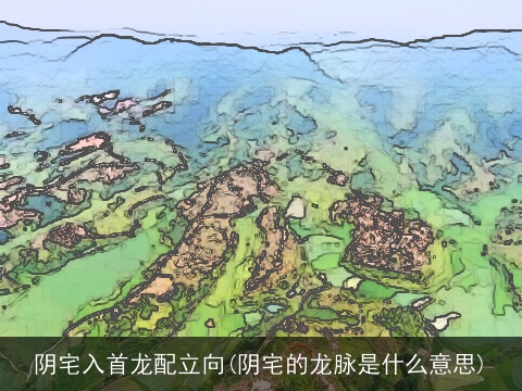 阴宅入首龙配立向(阴宅的龙脉是什么意思)