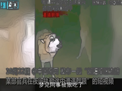 梦见同事被狼吃了