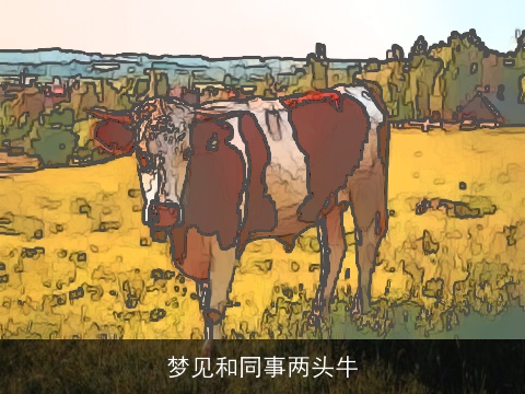 梦见和同事两头牛