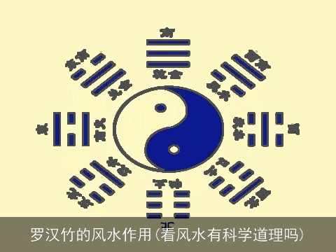罗汉竹的风水作用(看风水有科学道理吗)