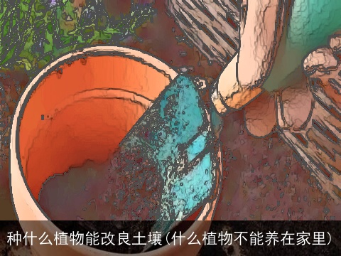 种什么植物能改良土壤(什么植物不能养在家里)