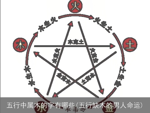 五行中属木的字有哪些(五行缺木的男人命运)