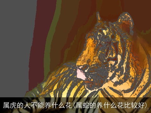 属虎的人不能养什么花(属蛇的养什么花比较好)