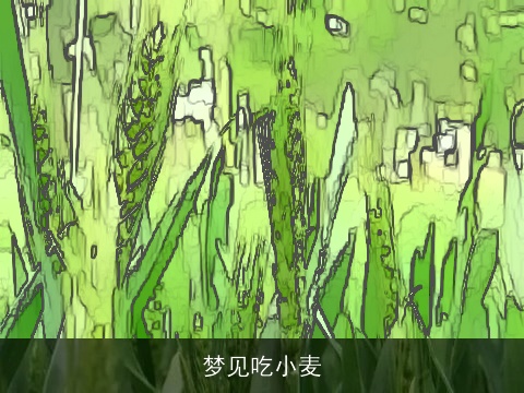 梦见吃小麦