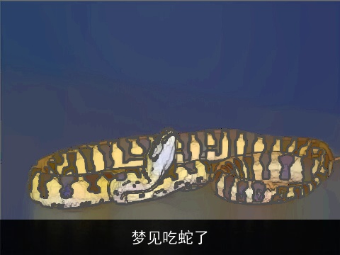 梦见吃蛇了