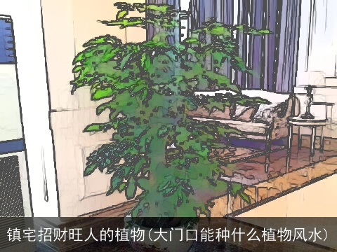 镇宅招财旺人的植物(大门口能种什么植物风水)