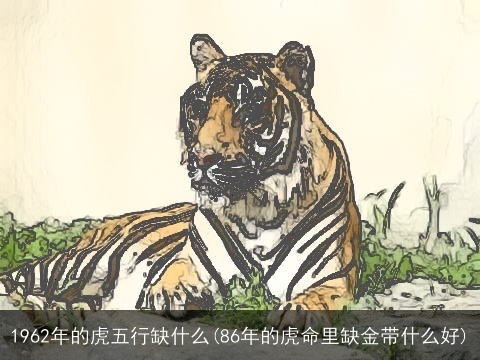 1962年的虎五行缺什么(86年的虎命里缺金带什么好)