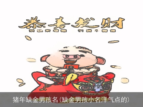 猪年缺金男孩名(缺金男孩小名洋气点的)