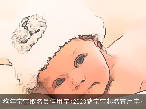 狗年宝宝取名最佳用字(2023猪宝宝起名宜用字)