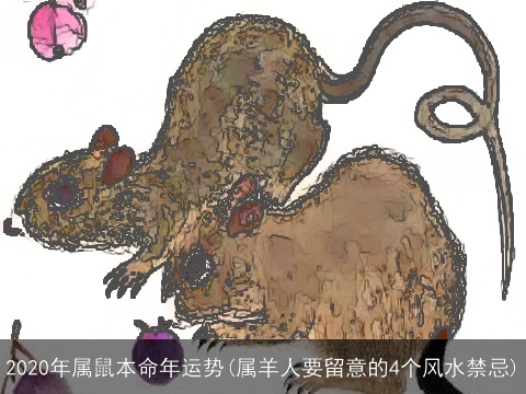 2020年属鼠本命年运势(属羊人要留意的4个风水禁忌)