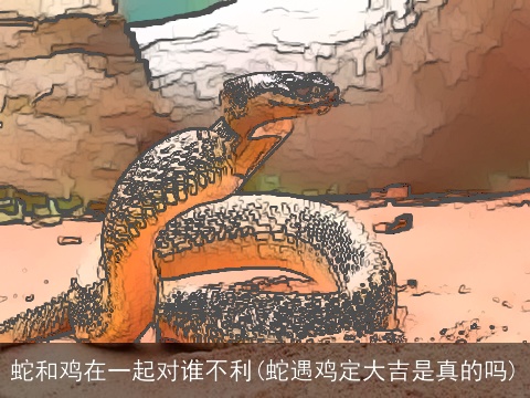 蛇和鸡在一起对谁不利(蛇遇鸡定大吉是真的吗)