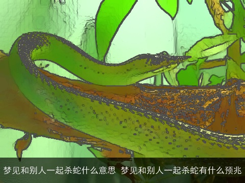 梦见和别人一起杀蛇什么意思 梦见和别人一起杀蛇有什么预兆
