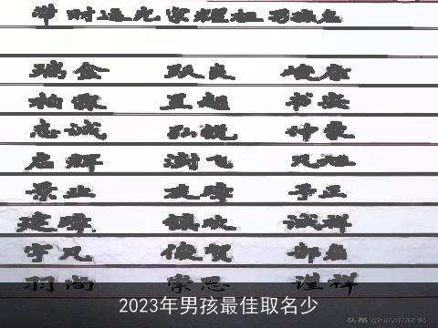 2023年男孩最佳取名少