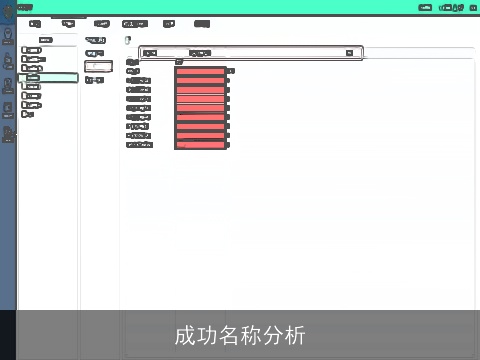 成功名称分析