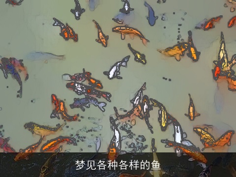 梦见各种各样的鱼