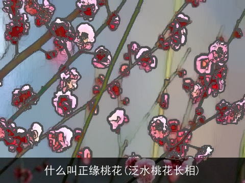 什么叫正缘桃花(泛水桃花长相)