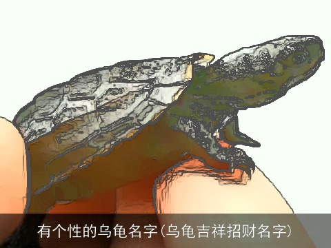 有个性的乌龟名字(乌龟吉祥招财名字)