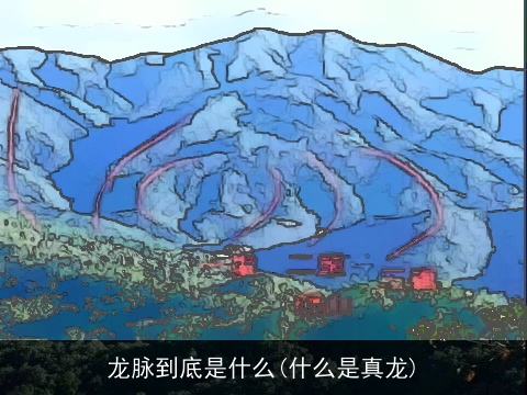 龙脉到底是什么(什么是真龙)