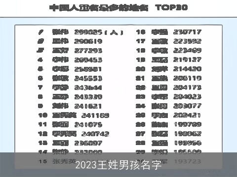 2023王姓男孩名字