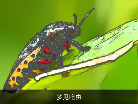 梦见吃虫