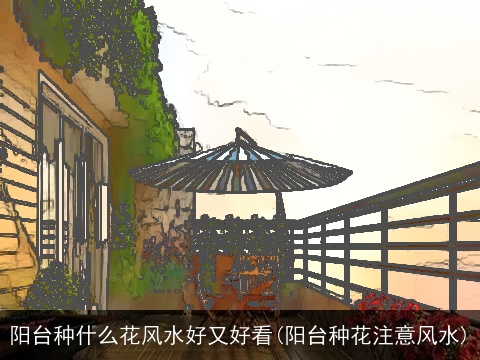 阳台种什么花风水好又好看(阳台种花注意风水)