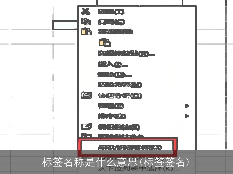 标签名称是什么意思(标签签名)