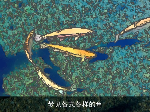 梦见各式各样的鱼