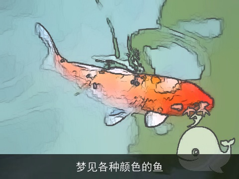 梦见各种颜色的鱼