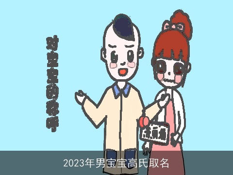 2023年男宝宝高氏取名