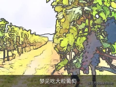 梦见吃大粒葡萄