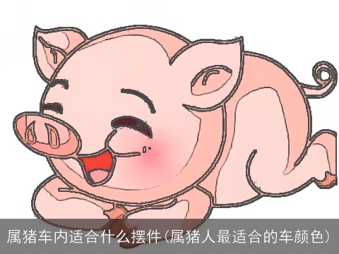 属猪车内适合什么摆件(属猪人最适合的车颜色)
