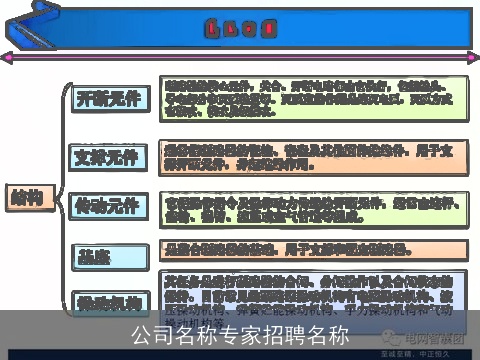 公司名称专家招聘名称