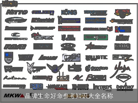 品牌生命好命参考知识大全名称