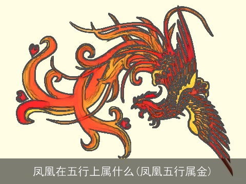 凤凰在五行上属什么(凤凰五行属金)