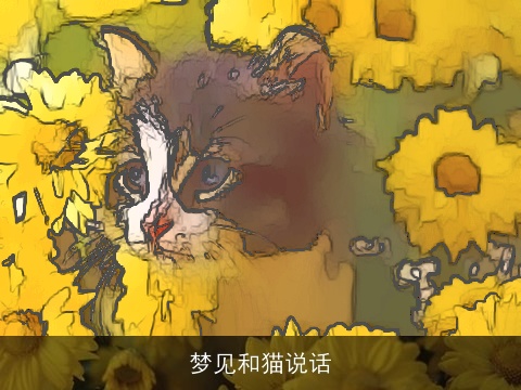 梦见和猫说话