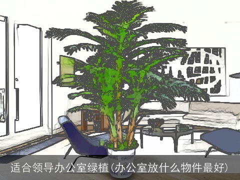 适合领导办公室绿植(办公室放什么物件最好)