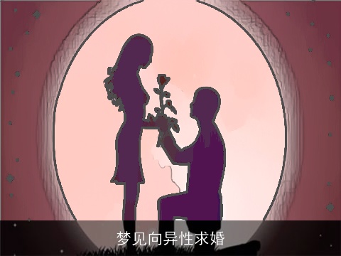 梦见向异性求婚