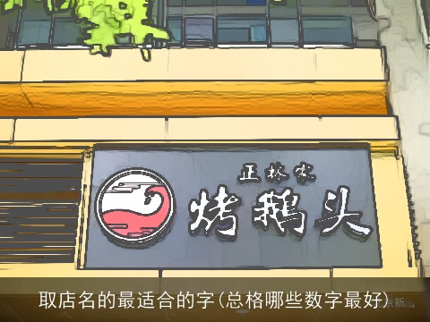 取店名的最适合的字(总格哪些数字最好)