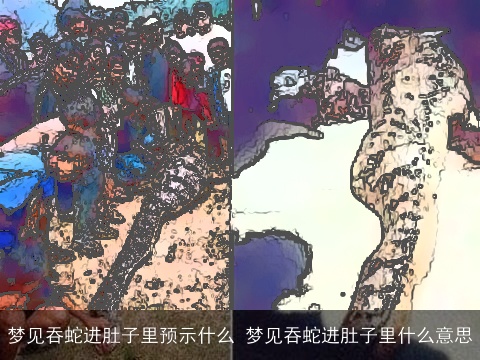 梦见吞蛇进肚子里预示什么 梦见吞蛇进肚子里什么意思