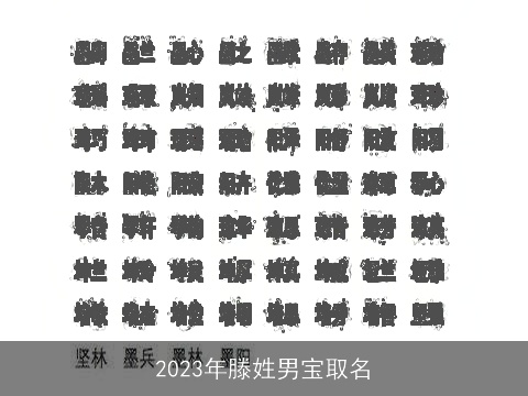 2023年滕姓男宝取名