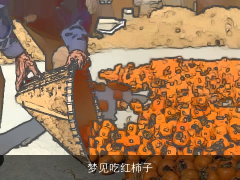 梦见吃红柿子