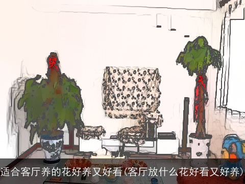 适合客厅养的花好养又好看(客厅放什么花好看又好养)