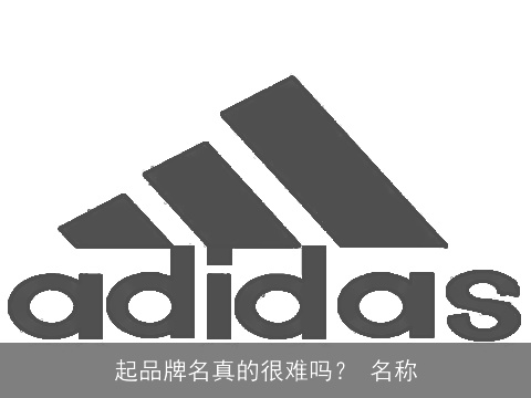 起品牌名真的很难吗？ 名称