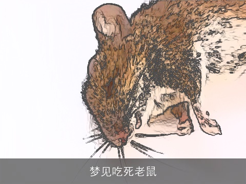梦见吃死老鼠