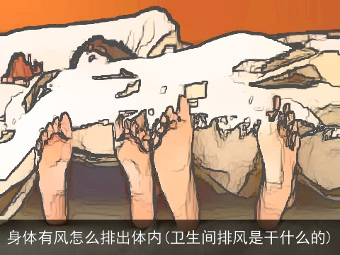 身体有风怎么排出体内(卫生间排风是干什么的)