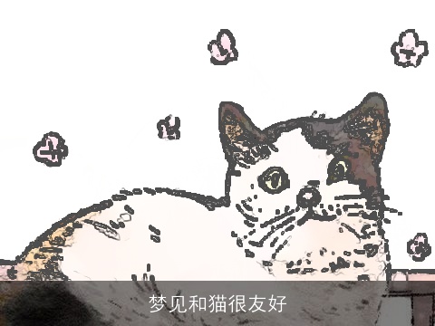梦见和猫很友好