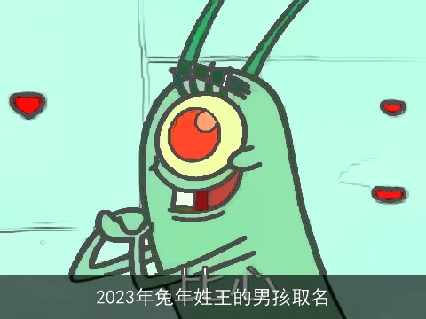 2023年兔年姓王的男孩取名
